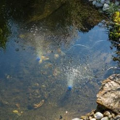 Solar Teichbelüfter 5W 200 L/h Pumpe Teichbelüftung Sauerstoff Esotec 101844 -ESOTEC Shop 11775390 3