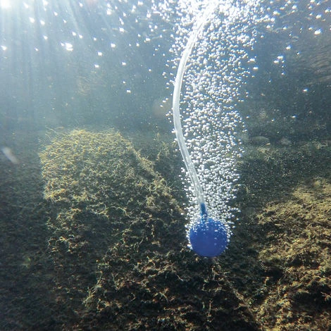 Solar Teichbelüfter 2W 130 l/h Pumpe Teichbelüftung Sauerstoff esotec 101840 Solar Teichbelüfter 2W 130 L/h Pumpe Teichbelüftung Sauerstoff Esotec 101840 -ESOTEC Shop 11775391 4