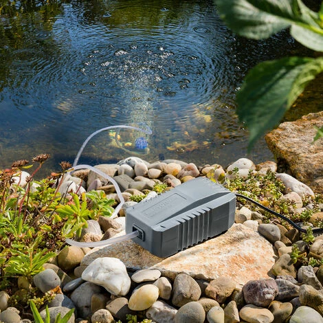 Solar Ersatzpumpe Teichbelüfter 6-9V Sauerstoff Teich Gartenteich esotec 101850 Solar Ersatzpumpe Teichbelüfter 6-9V Sauerstoff Teich Gartenteich Esotec 101850 -ESOTEC Shop 12439756 2