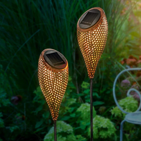 Solar Gartenstecker 2er Set warmweiße LED Gartendeko Solarleuchte esotec 102371 Solar Gartenstecker 2er Set Warmweiße LED Gartendeko Solarleuchte Esotec 102371 -ESOTEC Shop 20089573 1