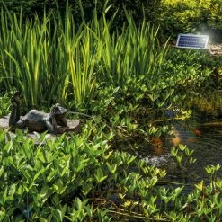Wasserspeier Frosch + Solar Teichpumpe 8 Watt Wasserspiel Teich Esotec 101650 -ESOTEC Shop 20089588 3