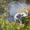 Wasserspeier Elefant + Solar Teichpumpe 12 Watt Wasserspiel Esotec 101654