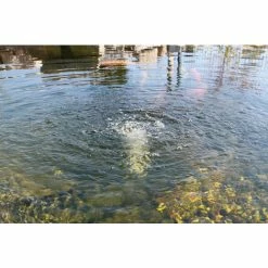 Solar Ersatzpumpe Teichbelüfter 6-9V Sauerstoff Teich Gartenteich Esotec 101871 2 Solar Ersatzpumpe Teichbelüfter 6-9V Sauerstoff Teich Gartenteich Esotec 101871 -ESOTEC Shop 6267640 3