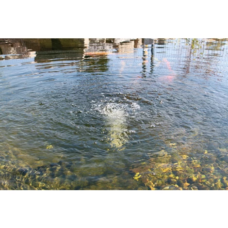 Solar Ersatzpumpe Teichbelüfter 6-9V Sauerstoff Teich Gartenteich esotec 101871 Solar Ersatzpumpe Teichbelüfter 6-9V Sauerstoff Teich Gartenteich Esotec 101871 -ESOTEC Shop 6267640 3