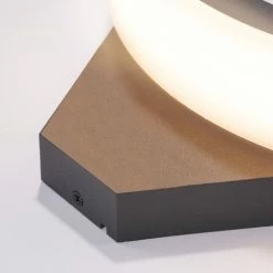 ESOTEC LED Außenwandleuchte Warmweiß 2800K 550lm 9 Watt Leuchte Außen Wandlampe, 201504 -ESOTEC Shop 6267700 4